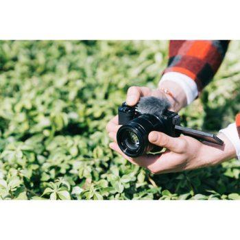 عکاسی در طبیعت با دوربین عکاسی Sony ZV-E10 with 16-50mm