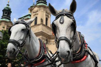 لنز Tamron 24-70mm F/2.8 G2