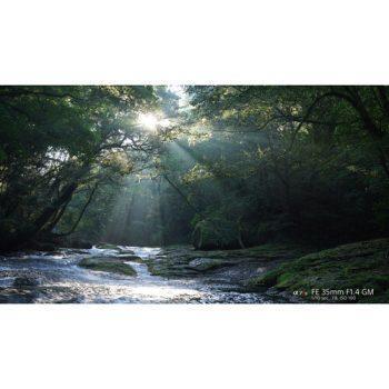 نمونه عکس با لنز Sony FE 35mm f/1.4 GM