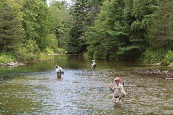 لنز کانن Canon EF-S 17-55mm f/2.8 IS USM