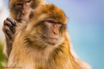 لنز نیکون Nikon AF-S 28-300mm