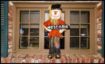 لنز سیگما Sigma 12-24mm f/4 DG HSM