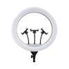 رینگ لایت Ring Light JL-F388