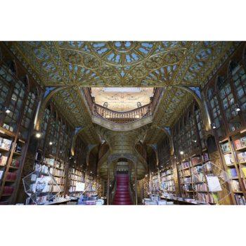 نمونه عکس با لنز Sony FE 24mm f/1.4 GM Lens