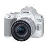 دوربین عکاسی کانن Canon 250D 18-55 IS STM سفید