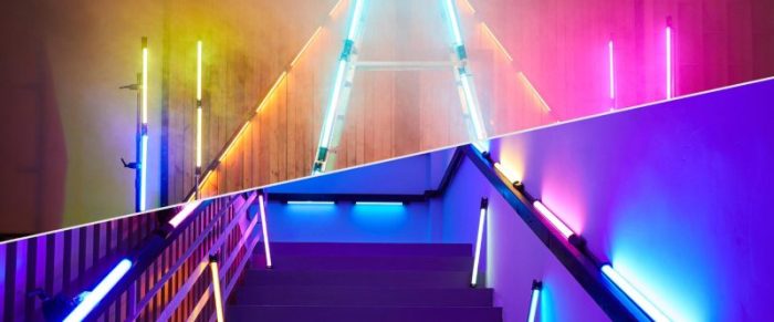 کيت باتومی گودکس Godox TL60 Tube Light Two-Light Kit