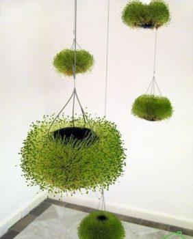 سفره هفت سین