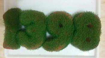 سفره هفت سین