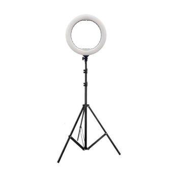 رینگ لایت Ring Light YQ-420a + پایه 805