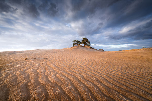 نمونه عکس با لنز سونی Sony FE 14mm f/1.8 GM Lens