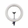 رینگ لایت Ring Light YQ-420a + پایه 805