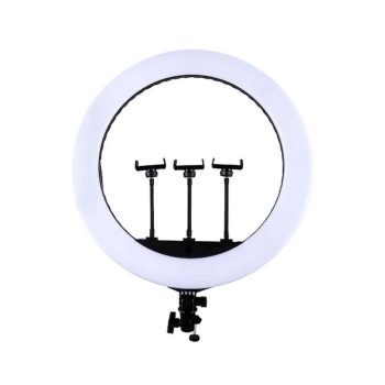 رینگ لایت Ring Light JL-F388 + پایه 803