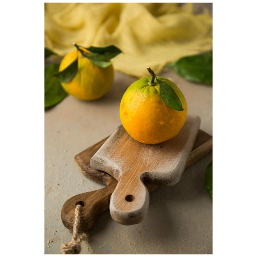 تخته سرو کد F 55