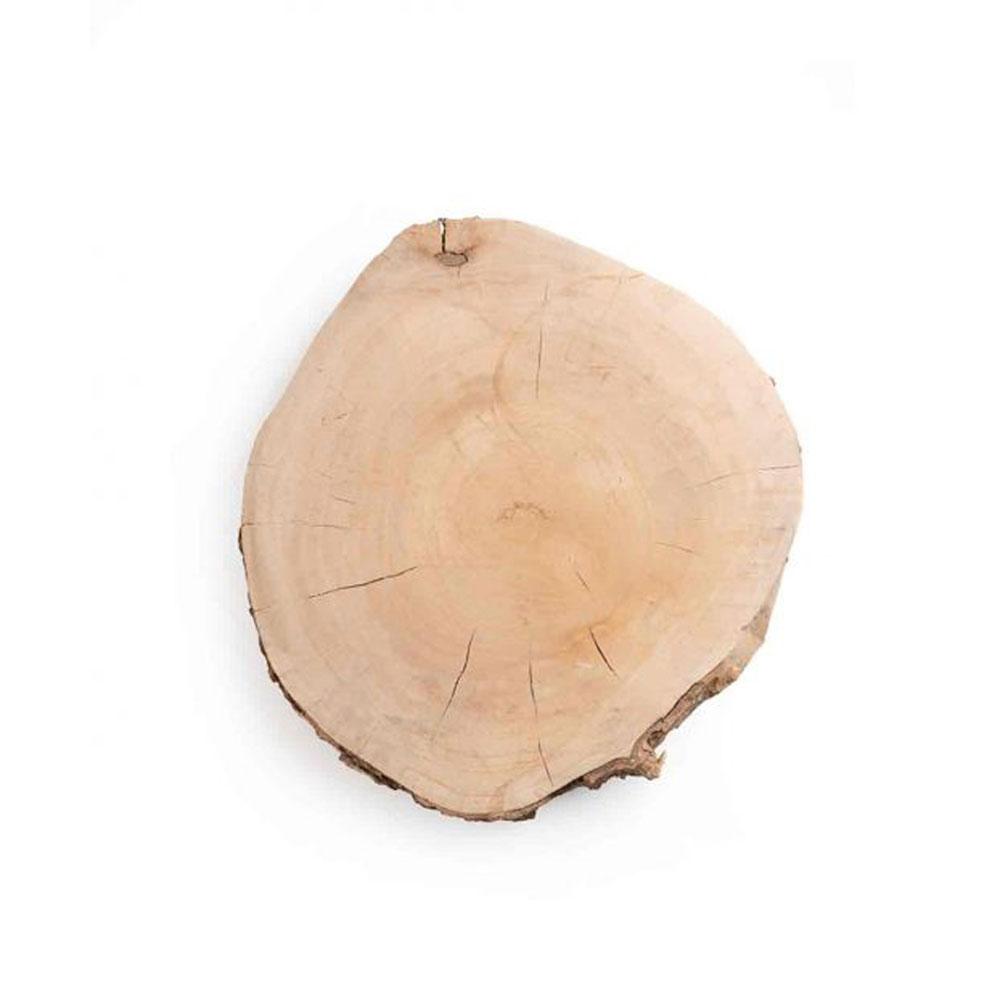 تنه درخت بزرگ کد F 156