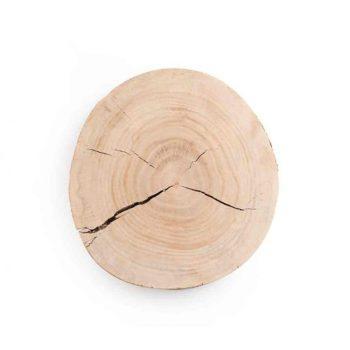 تنه درخت کوچک کد F 157