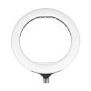 رینگ لایت سی یرا Sierra Ring Light 420a