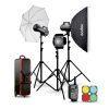 کیت فلاش استودیویی گودکس Godox DS400 II