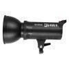 کیت فلاش استودیویی گودکس Godox DS400 II