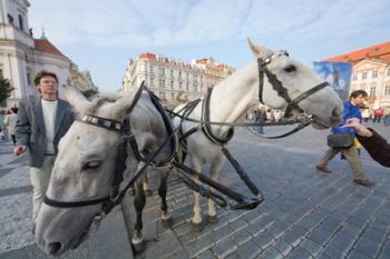 لنز کانن Canon EF 14mm f/2.8L II USM Lens