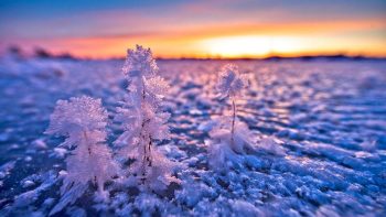 لنز کانن Canon EF 14mm f/2.8L II USM Lens