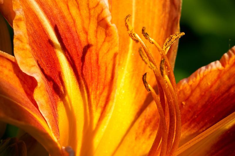 نمونه عکس با لنز سونی Sony FE 50mm f/1.8 Lens