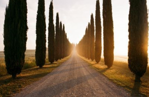 نقطه گریز در عکاسی 