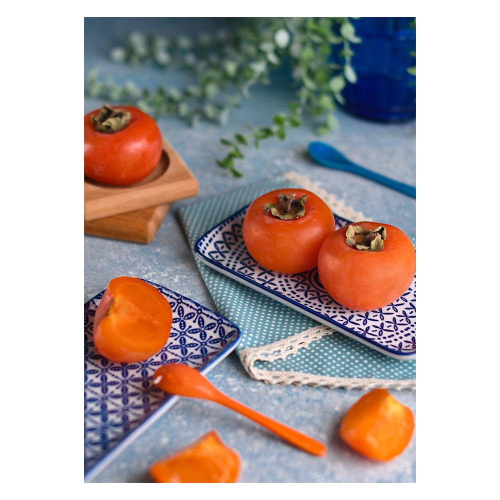 بک دراپ Backdrop کد B111