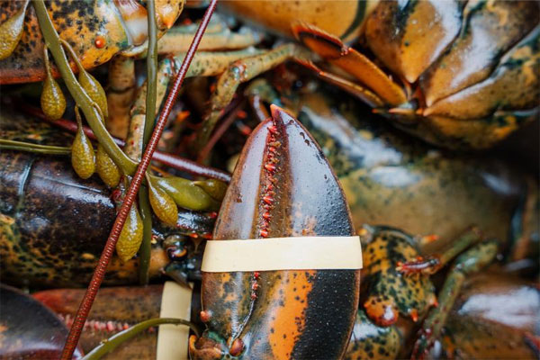 نمونه عکس با دوربین بدون آینه سونی Sony Alpha a7 IV With FE 28-70mm f/3.5-5.6 OSS Lens