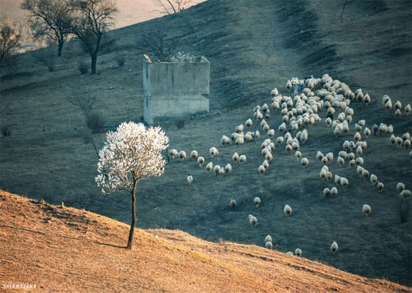 نمونه عکس با دوربین بدون آینه سونی Sony Alpha a7 IV With FE 28-70mm f/3.5-5.6 OSS Lens