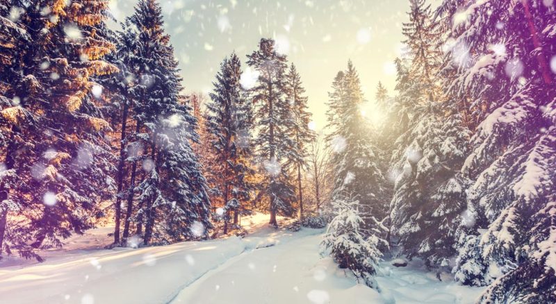 عکاسی در برف