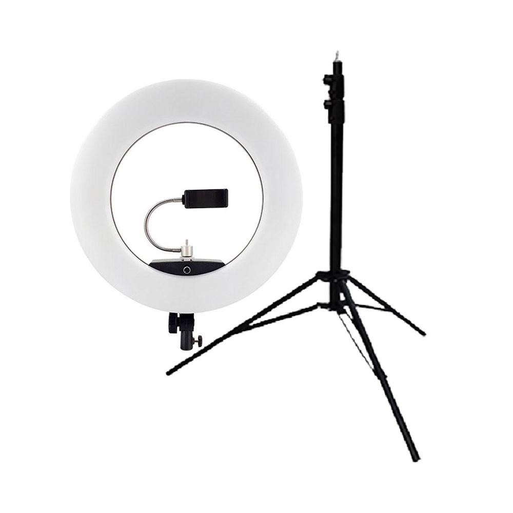 رینگ لایت Ring Light Fn 480II pro + سه پایه 805