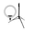 رینگ لایت Ring Light KY-BK 320 + سه پایه 805