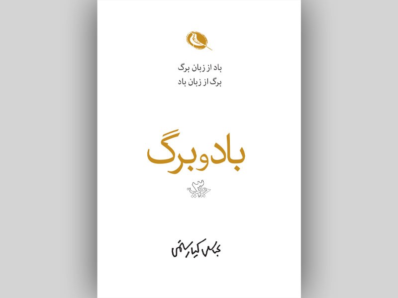 جشنواره عکس 5