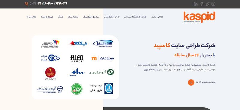 شرکت طراحی سایت حرفه‌ای