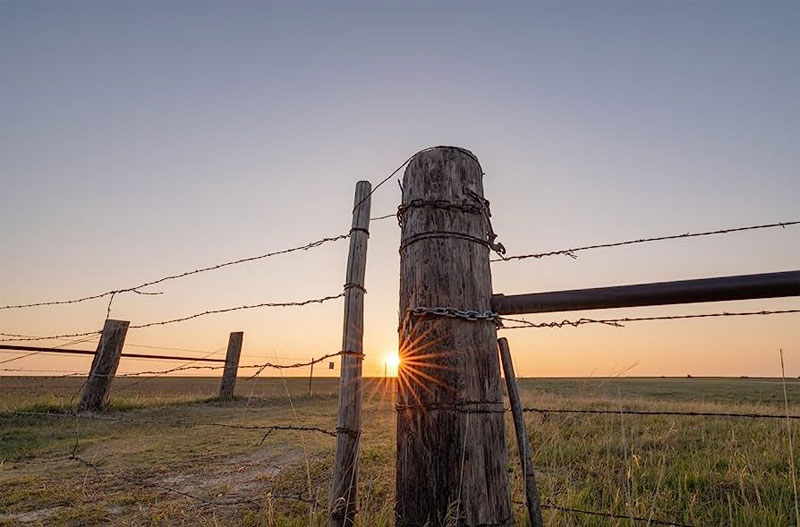 لنز سیگما Sigma 14mm f/1.4 DG DN Art Lens for Sony E