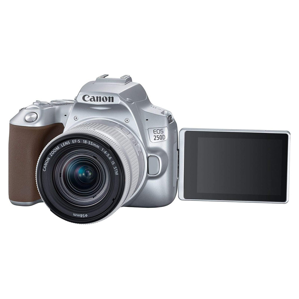 دوربین عکاسی کانن Canon EOS 250D 18-55 IS STM نقره ای