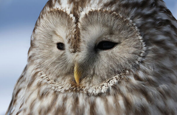 نمونه عکس با دوربین بدون آینه کانن Canon EOS R7 with 18-150mm Lens