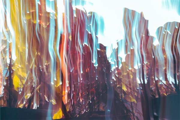 عکاسی از زاویه پایین