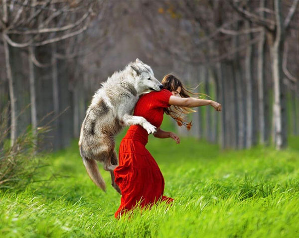 عکاسی فاین آرت