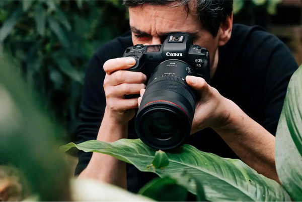 بهترین دوربین های DSLR فول فریم مناسب عکاسی ماکرو