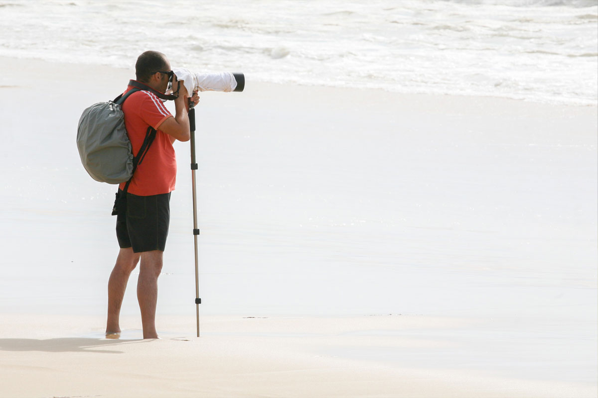 تک پایه و مونوپاد