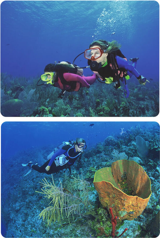 دوربین اکشن ورزشی اس جی کم Sjcam SJ8 Pro 4K و قابلیت ضد آب و غواصان در دریا