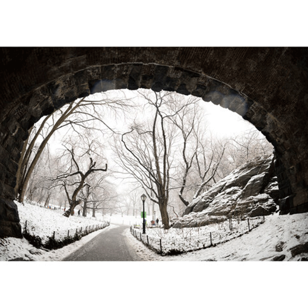 لنز سیگما Sigma 15mm f/1.4 Fisheye DG DN Art Lens Sony E — تصویر 2