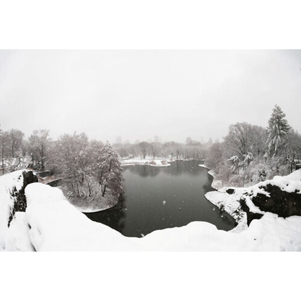 لنز سیگما Sigma 15mm f/1.4 Fisheye DG DN Art Lens Sony E — تصویر 3