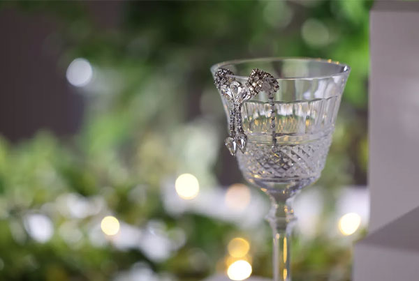 لنز کانن Canon RF 24-105mm f/2.8 L IS USM Z و عکاسی از بلور