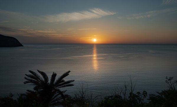 لنز سیگما 28-45mm F1.8 DG DN | Art و عکاسی از طبیعت