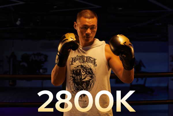 نور ثابت ال ای دی Godox LDX50Bi Bi-Color LED و نورپردازی