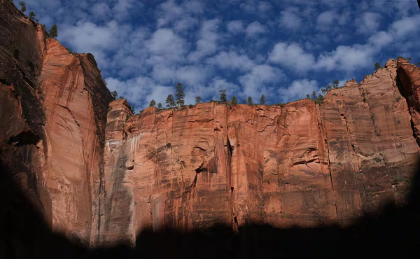 لنز سونی Sony FE 50mm f/1.4 GM Lens و عکاسی طبیعت