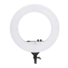 رینگ لایت Dreamlight PLH-480L Ring Light