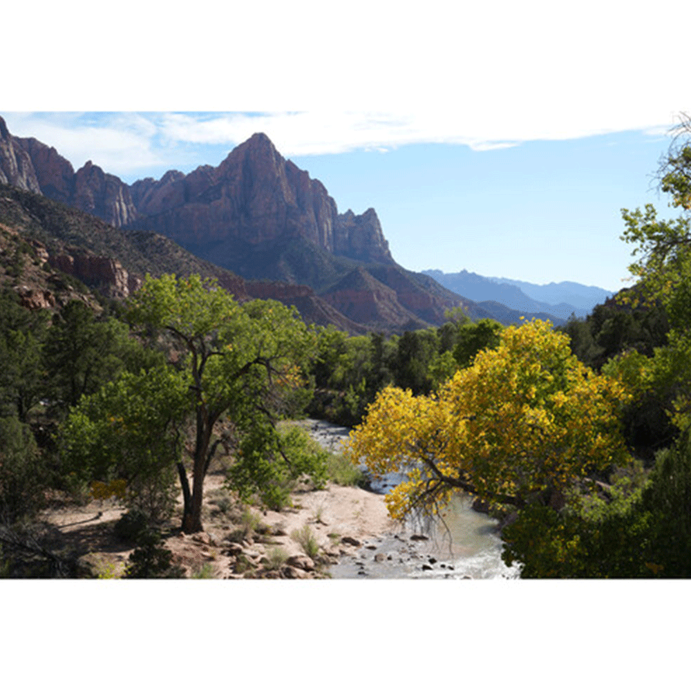 لنز سونی Sony FE 50mm f1.4 GM Lens